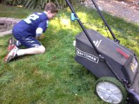 20140921 145448  We ran out of gas, so I came back to fill the lawn mower and Sam had taken it upon himself to cut the grass with scissors, he was so intent on helping Daddy (who was away at the time). Wow! Nice guy!
