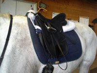 20141020 111719  New saddle for Emmy (and me)!! I am finally getting legit, not borrowing a saddle as I have been for a year.