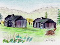 barns  One of the iterations of a drawing I have been wanting to make for a long time. These two old barns are nearby on Day Road. They look so restful standing watch over the fallow vineyard.