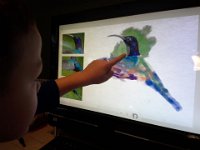 20150111 114633  I set up an older computer which had a hard drive failure - got it repaired by the Geek Squad and set it up for the kids. WOW am I glad I did! The Fresh Paint app for Windows 8 is FANTASTIC!