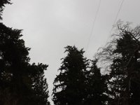 20150203 090701  Can you see them?