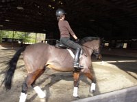 20150216 145306  Nothing better than an afternoon ride in the sun.