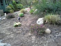 20150412 140340  In about 2.25 hours of work, the boys picked up 100+ pine cones, raked, and I weeded. Everything is really spruced up!