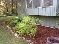 20150420 090111  Lots of bark spread!
