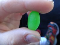 DSC02049  The most adventurous jelly bean in the world is still with us!
