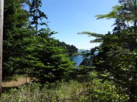 DSC02071