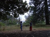 DSC02207