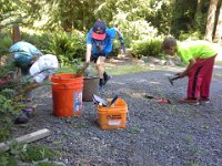 20150605 154513  Cream Soda Crew service project, second year in a row at Kristine and Frank's! The kids did a really nice job in service to their school by doing yard work.