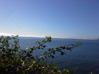 20150608 081930  Interesting fog layer over Seattle - out on a run.