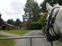 20150612 113002  She can see a buddy still riding out there!