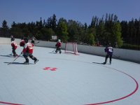 20150620 110632  Another roller hockey game!