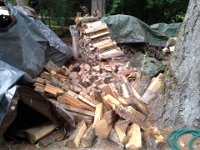 20150628 154911  Oops...my wood pile got blown over! Guess I know what I'm doing for yard work...
