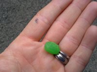 20150711 202223  Look what I found in the truck! "Most Adventurous Jelly Bean in the World"! We thought we'd hidden this in my dad's backpack when he visited, but I guess it never made it in, much to Dad's relief :)