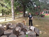 20150724 144201  Time to move on to the straightforward fir, pine variety!