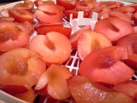 20150726 172547  Drying out plums to make some...