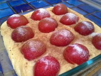 20150726 181835  Plum tortes!