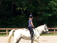 IMG 2810  I'm training for a ride and review on Sunday...this is over in the arena, getting Emmy used to it.