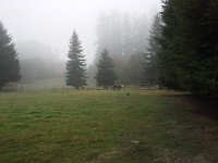 10-2015 Oct