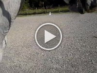 20151001 131147