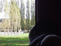 20151005 120150