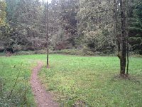 20151017 160340  Love this little meadow.