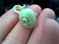 20151017 171858  Found this little guy again - Carver found him on Mount Townsend, and I refound him in my pocket!