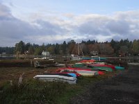 20151020 092220  On a jog up near Port Madison.