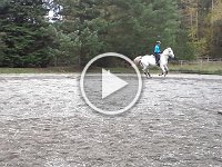 20151029 115257  A fun ride on Emmy Thursday. One of the other riders was doing this (with two additional poles as well) so I decided to give it a try. Cantering over poles has been on my list for a long time. Emmy would have jumped them if I didn't have her firmly in hand.