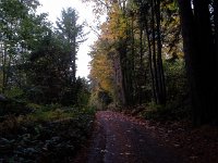 20151030 095723  It's mischief night, but I'm out on a morning jog to conjure ideas...