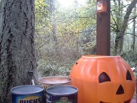 20151030 165036  Dry ice vapor that you can hardly see...