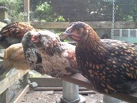 20160701 184723