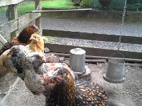 20160701 184737