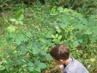 20160702 121217  Ben finding the forest nest :)