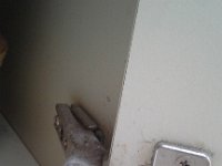 20160703 170205  Fixing all kinds of things...