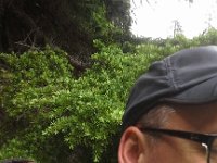 20160704 141312