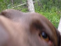 20160705 083315