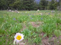 20160705 135013