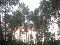 20160705 210722