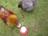 20160710 121037  Calvin stood by her when she was aloof and afraid.
