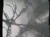 20160720 102802