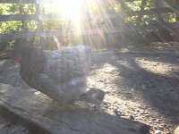 20160729 083541