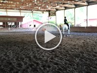 IMG 6533  Bill Woods clinic videos. I will miss him, Janet and Emmy a lot!