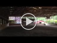IMG 7678