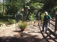 20160801 150810  But at last, the apple trees are in the ground! Thank you, Richard!