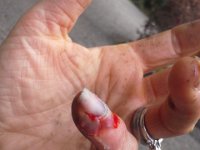20160806 144303  I managed to really bang up a finger moving boulders. Arlo said he'd wait for his tractor, but I needed to get some energy out...I was nearly done and dropped the last one on my finger!