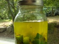 20160807 145609  Starts yellow then quickly turns dark.