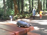 20160813 111432  In the Canadian tradition of leaving one item for the next camper (we found a toaster (huh?) on one picnic table) - we left outgrown shinpads. Surely a Canadian kid will benefit?