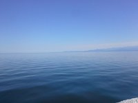 20160820 154946  Looking for whales