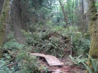 20160821 121848  Last run through some favorite trails.