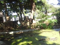 20160825 071159